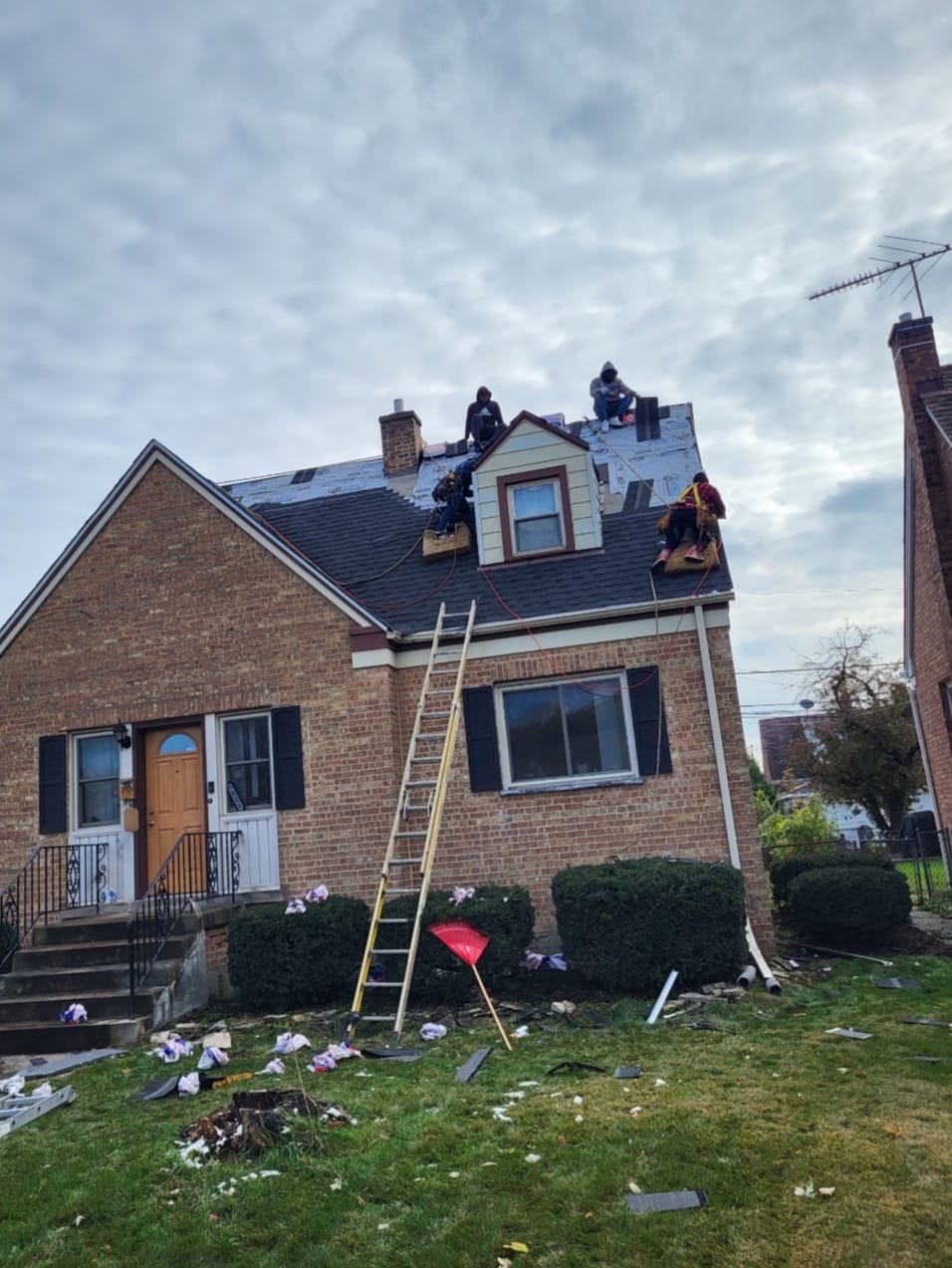 Roof 12