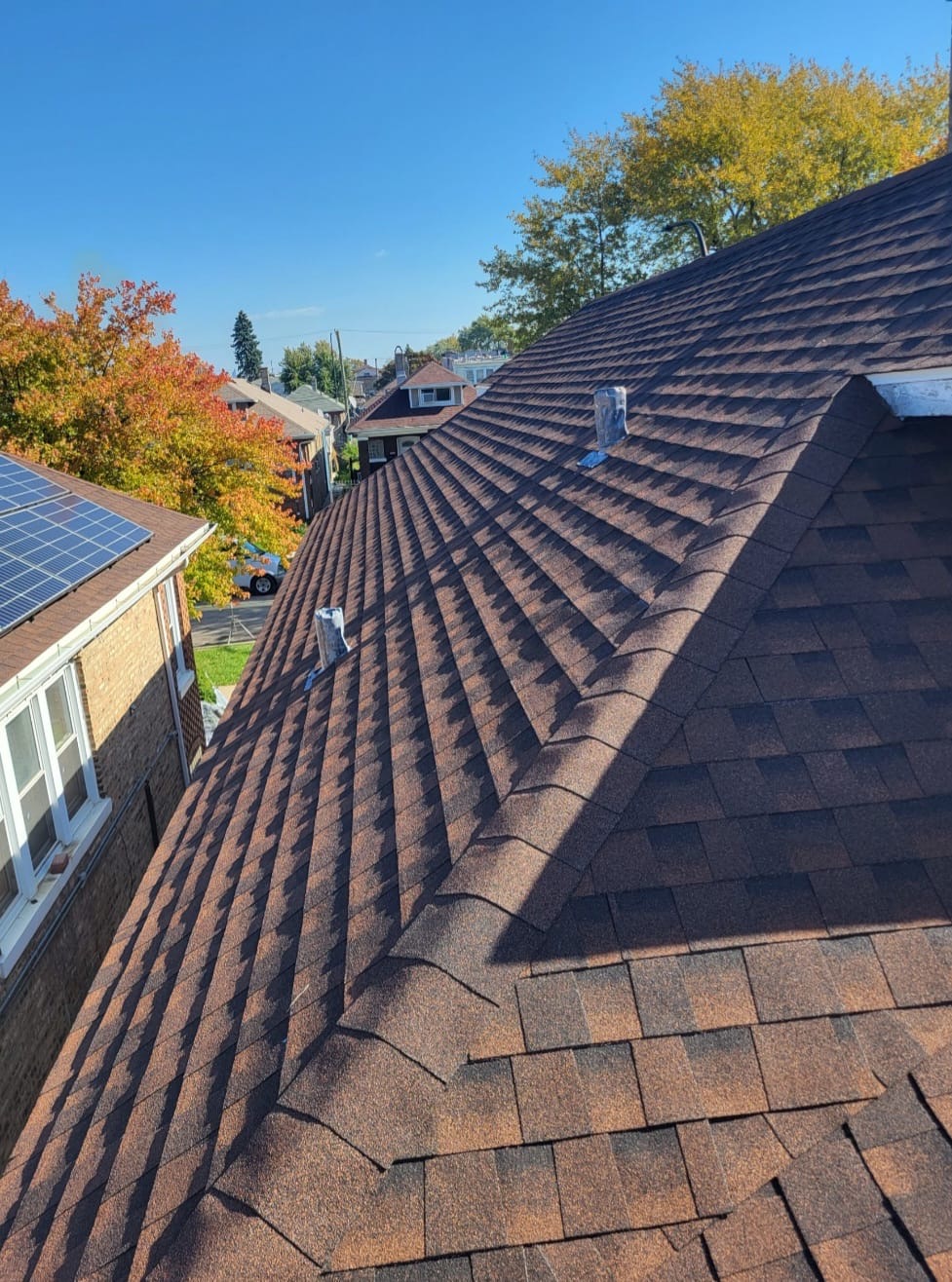 Roof 6